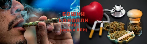 таблы Гусев