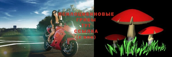 a pvp Гусиноозёрск