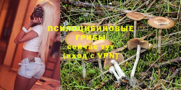 таблы Гусев