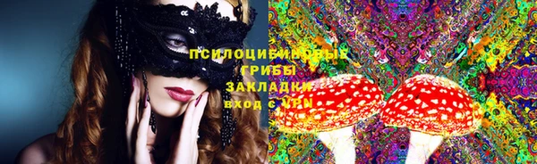 таблы Гусев