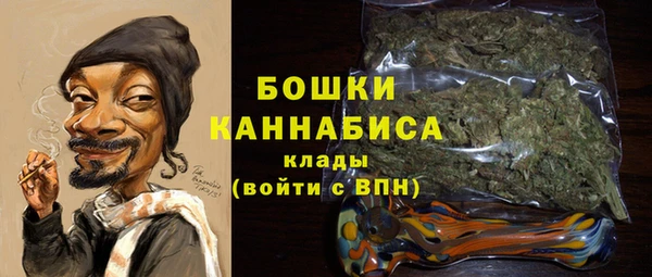 таблы Гусев