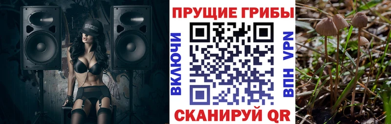 Галлюциногенные грибы ЛСД  Шагонар 