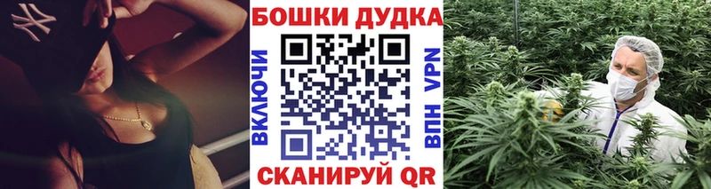 Конопля OG Kush  сколько стоит  Шагонар 
